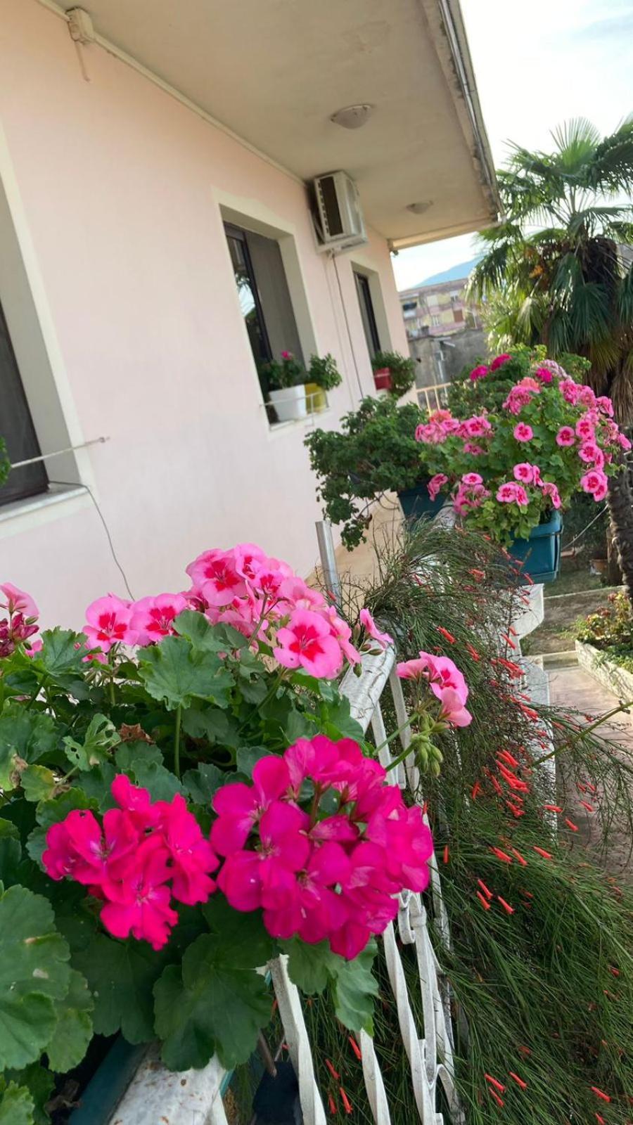 Blissful Hostel ชโคเดอร์ ภายนอก รูปภาพ
